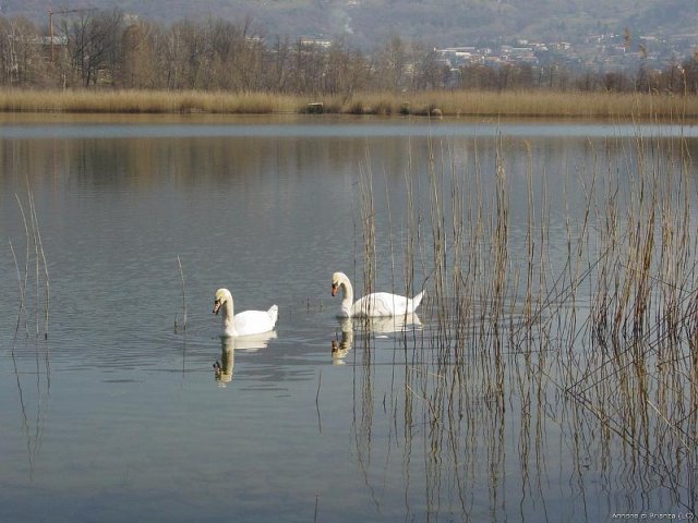 Lago di Annone